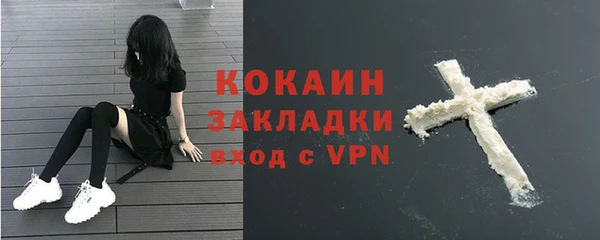 прущие крисы Алзамай