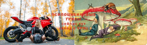 скорость Алексеевка